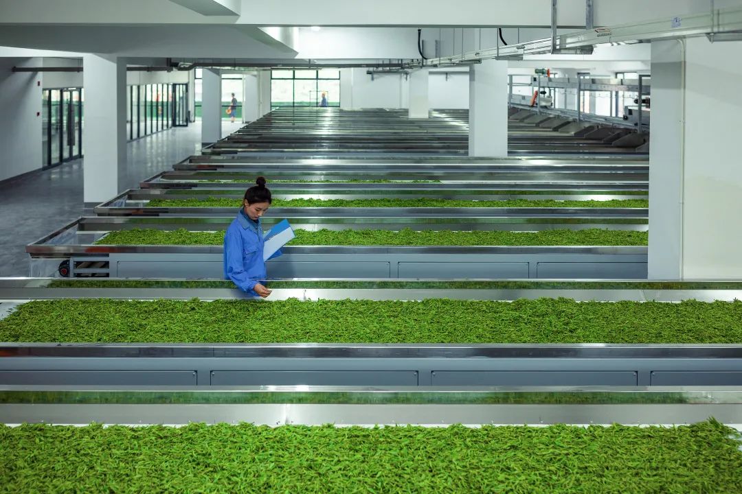 1687739272466337.jpg 微信圖片_20230626080955.jpg